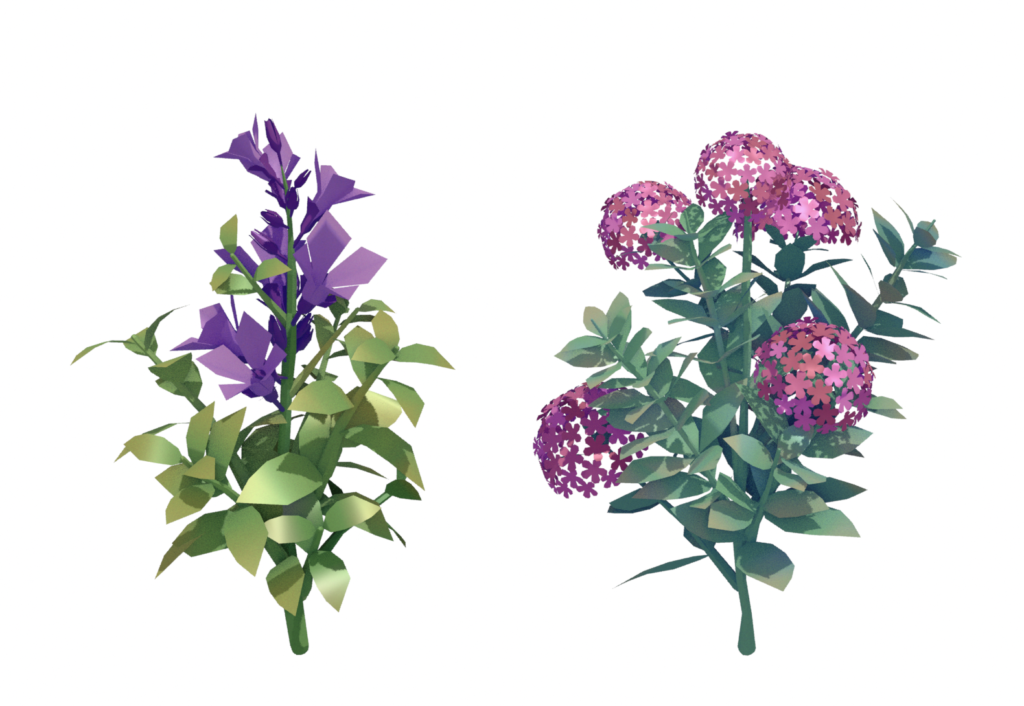 ちょっと難しめの草花2種